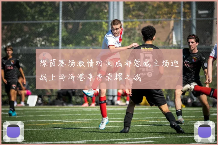 绿茵赛场激情对决成都蓉城主场迎战上海海港争夺荣耀之战
